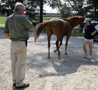 At Bits & Bytes Farm each horse is evaluated to see if chiropractic care is needed by Dr. Lance Cleveland
