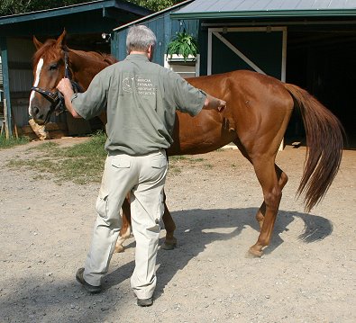Dr. Lance Cleveland doe cross over exercises with the horse.