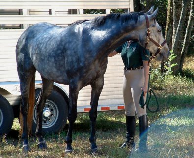 Barbo stood quietly for his bath after the trail ride. - October 15, 2005