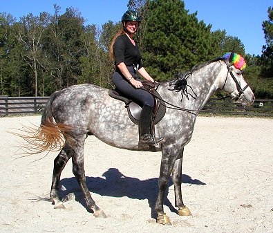 Barbo is an OTTB who is totally quiet and sweet. - October 23, 2005