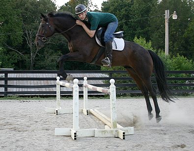 Big Money and Gertjan in a grid lesson at the farm. September 2005