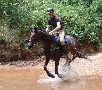 Trail riding at Dawson Forest - June 19, 2005. 