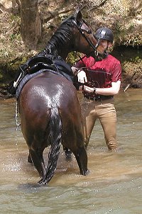Big Money and Gerjand go for a swim.