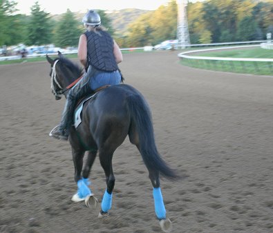 Blue Electra - she ground ties for her bath