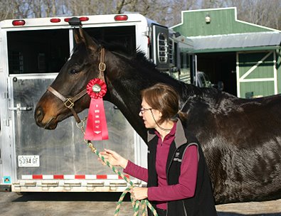 Horse For Sale - Bounced won a red ribbon at the hunter pace.