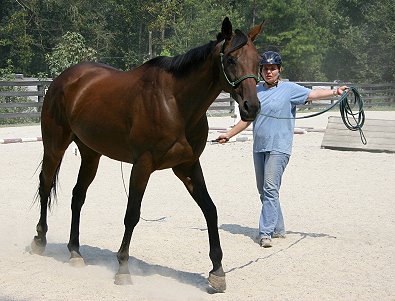 Learning to lunge at Bits & Bytes Farm. September 11, 2005