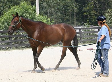 Learning to lunge. September 11, 2005