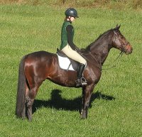 Bits & Bytes Farm Thoroughbred horse for sale - Era of Chanago with Marie