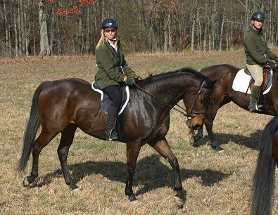 Era of Chanago is a bomb-proof horse and former fox hunter.