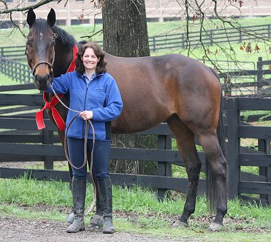 One of our favorite Horses For Sale - Era of Chanago has a new mom! Congratulations to Holly Light of Chicago, IL. - April 15, 2008