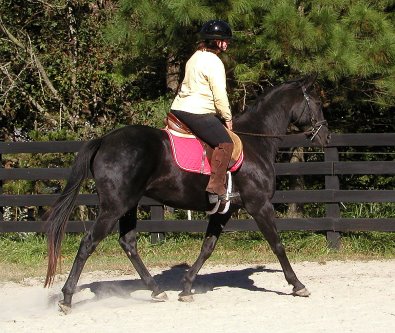 Charlie and Susan Hunter - October 16, 2005