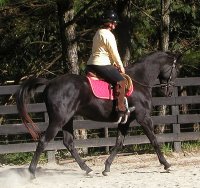 Charlie and Susan Hunter. October 16, 2005