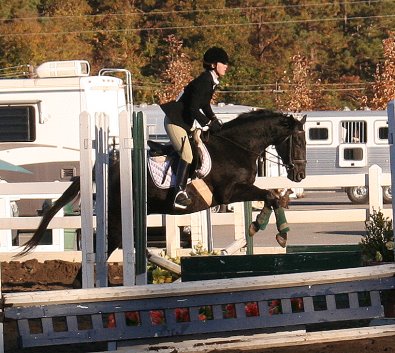 Charlie was not at all upset by any of the action at his first horse show. November 12, 2005