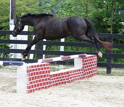 Charlie free jumping - June 4, 2005