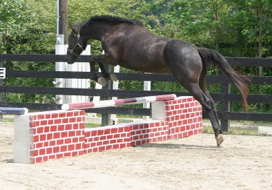 Charlie free jumping - June 4, 2005