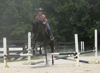 Charlie is a black Thoroughbred Horse for Sale at Bits & Bytes Farm. - July 24, 2005