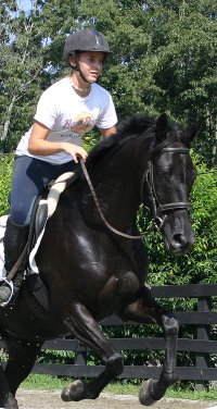 Charlie is a black Thoroughbred horse for sale.