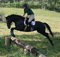 Charlie X-country schooling - August 20, 2005