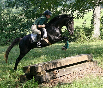 Marie schooled Charlie x-country - August 20, 2005
