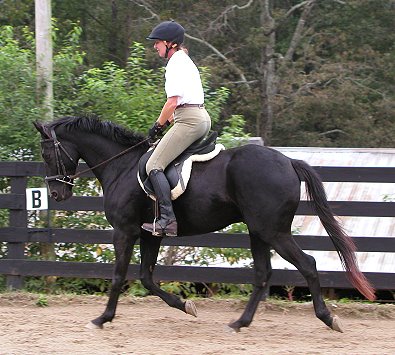 Charlie - October 10, 2005