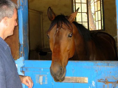 Former Bits &amp;amp; Bytes Farm Thoroughbred horse for sale - Chouette Player arriving in Palos Verdes, California. May 7, 2005