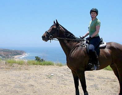 Former Bits & Bytes Farm Thoroughbred horse for sale - Chouette Player in Palos Verdes, California. June 29, 2005