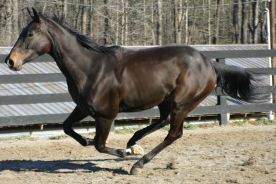 Cloned Colony is very well balanced