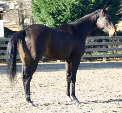 Cloned Colony will mature to about 17+ hands.