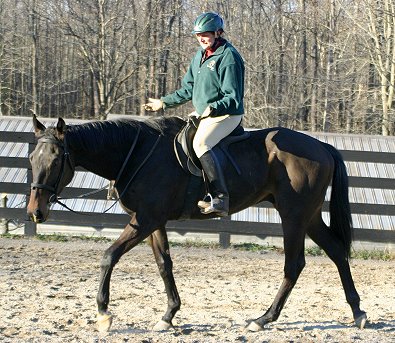 Cloned Colony - Look ma! No hands.