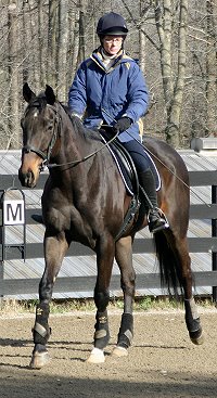 Cloned Colony is a Bits & Bytes Farm Thoroughbred horse for sale.