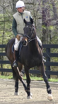 Cloned Colony is a Bits & Bytes Farm Thoroughbred horse for sale.