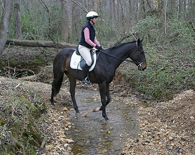 Cloned Colony is quiet enough for fox hunting.