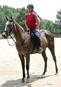 Alaskan Crown is a very large rose gray mare.