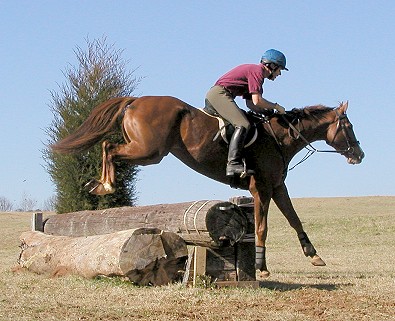 Darcy and Dean Graham
