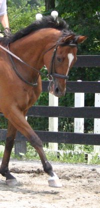 Daring Deeds - July 5, 2005