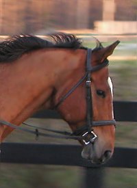 Daring Deeds - March 14, 2005