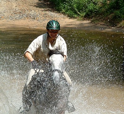 Grayboo gallops through the creek.