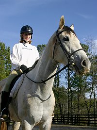 Grayboo  - Thoroughbred for sale
