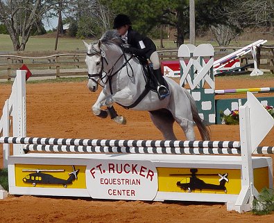 Grayboo and Amanda Cunefare at Ft. Rucker Horse Trials. March 2007