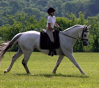 Read Grayboo's Success Stories.