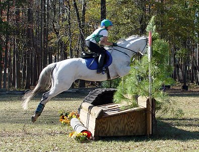 Grayboo and Amanda competed at the Novice level at Pine Top combine training event.