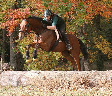 OTTB and former steeplechaser, Heather's Best with Elizabeth schooling cross-country fences at Oxer Farm. November 6, 2005 