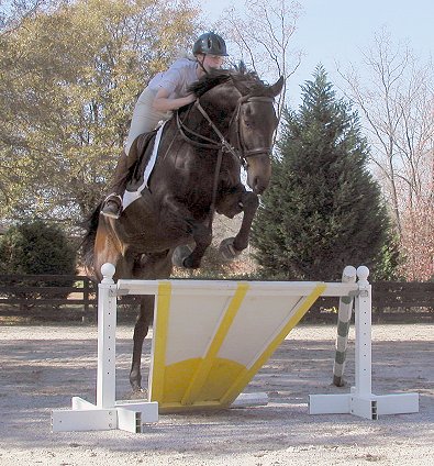 Bits and Bytes Farm's Irish