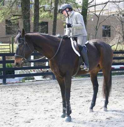 Irish Morning Mist and Lauren Dunlap