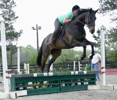 Irish Morning Mist - April 12, 2005