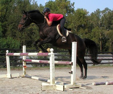 Irish Morning Mist - Sepetember 21, 2005