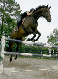 Irish Morning Mist - June 28, 2005