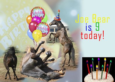 Happy Birthday Joe Bear!!