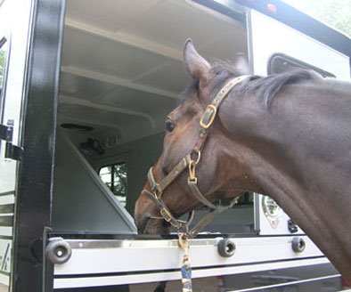 Joe Bear checks out his new Hawk horse trailer. June 2, 2007