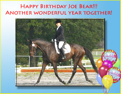 Happy Birthday Joe Bear! April 22, 2008